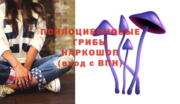 spice Арсеньев