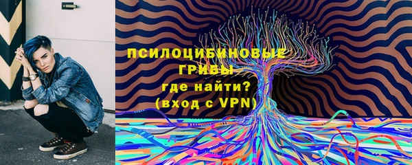 apvp Армянск