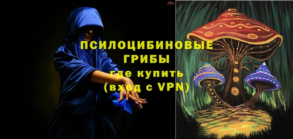 spice Арсеньев