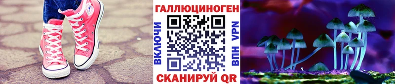продажа наркотиков  Ленинск  Галлюциногенные грибы GOLDEN TEACHER 