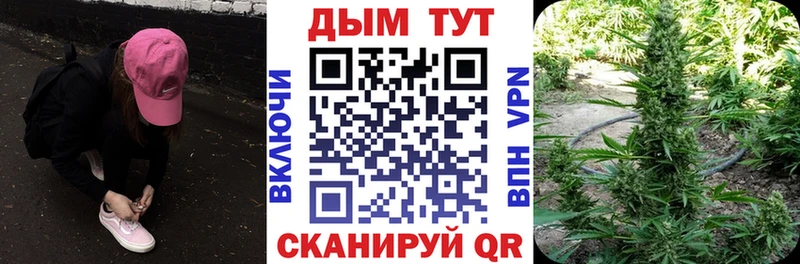 Бошки марихуана Amnesia Ленинск